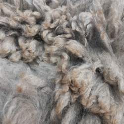 Alpaca fleece - 100g