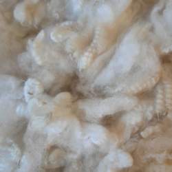 Alpaca fleece - 100g Alpaca fleece - 100g