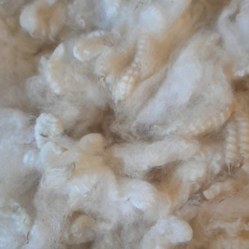 Alpaca fleece - 100g