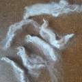 Alpaca fleece - 100g Alpaca fleece - 100g