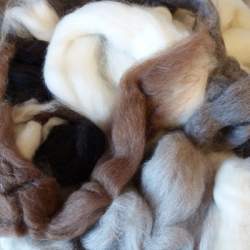 Mixed natural wool bin end  100g