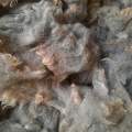 Blue Texel Raw Fleece - 50g