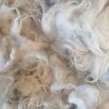 Boreray Washed Fleece - 100g