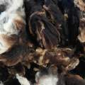 Dutch Spotted Fleece - 100g
