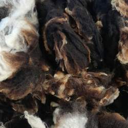 Dutch Spotted Fleece - 100g