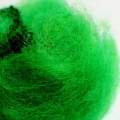 Acid Dye 25g - Green