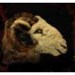 sheep head by Marianne Schrijen