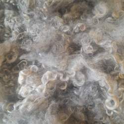 Gotland Washed Fleece Grade B - 50g Gotland Washed Fleece Grade B - 50g