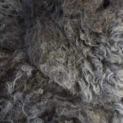 Hebridean Washed Fleece - 100g