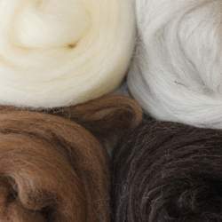 Shetland top mixed pack naturals - 200g