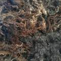 Wensleydale Curls - Washed Fleece 25g