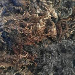 Wensleydale Curls - Washed Fleece 25g