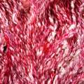 Handspun Yarn Aran-Raspberry